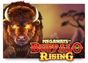 buffalo rising megaways