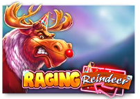 Raging reindeer