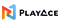 PlayAce Software